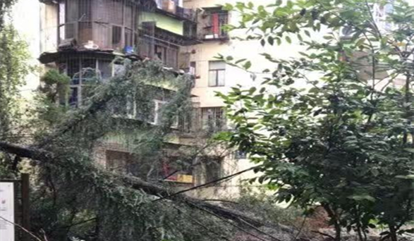 1568277048595581.jpg 1568277048595581.jpg